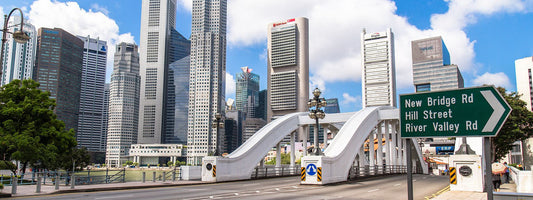 多彩な魅力が詰まった都市国家、シンガポール！
